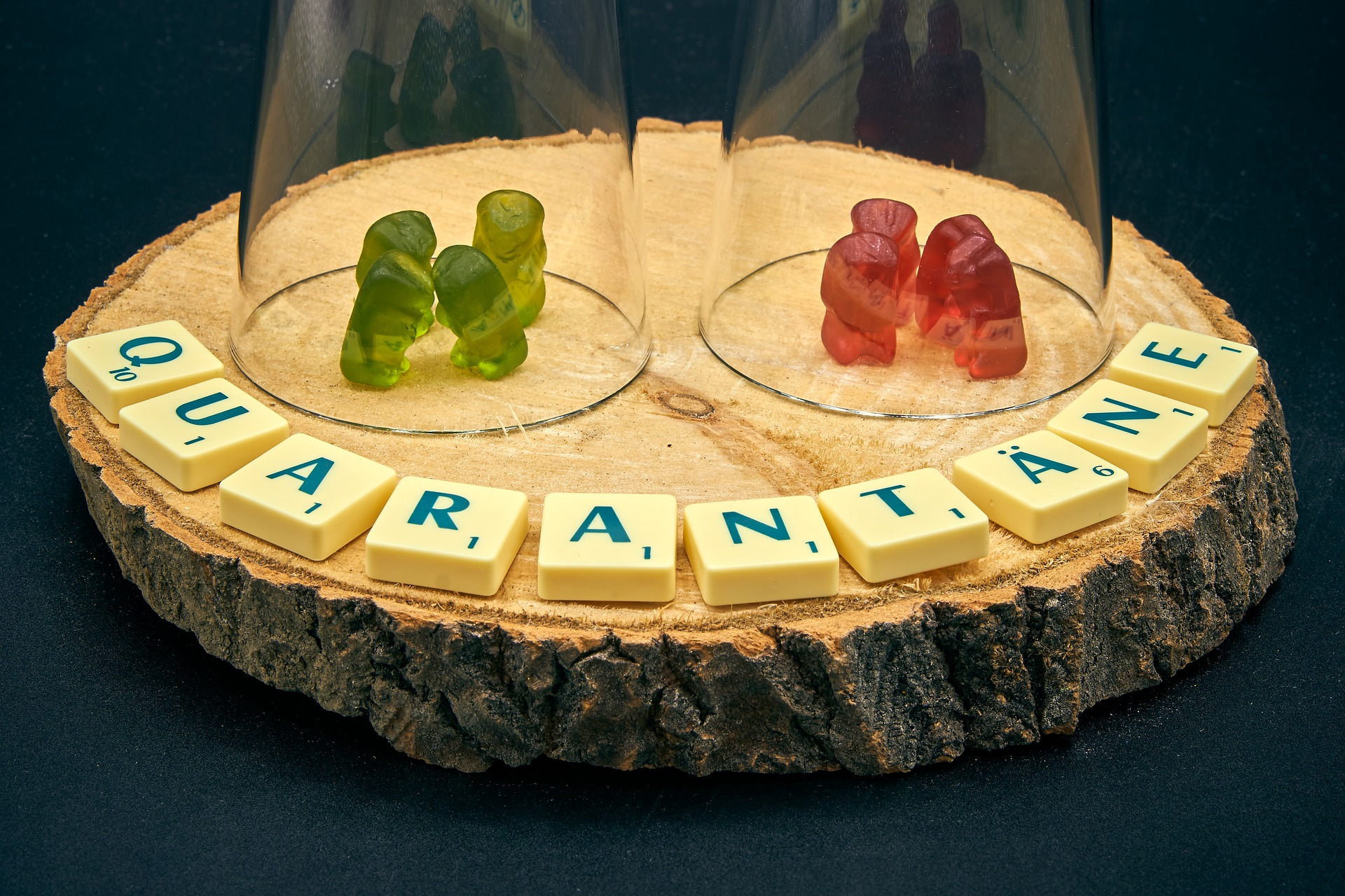 Auf einer Baumscheibe ist mit Scrabble-Buchstaben das Wort Quarantäne gelegt. Darüber stehen zwei Kleingruppen aus Gummibärchen, eine grün und eine rot, jeweils unter einer Glaskuppel