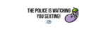 The police is watching you sexting